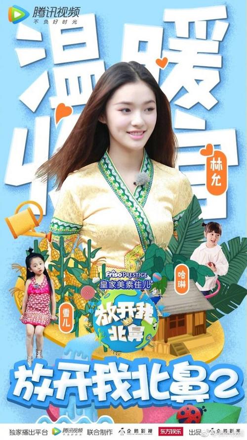 定制高仿南埃塞克斯学院文凭毕业证